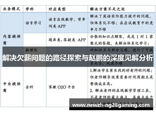解决欠薪问题的路径探索与赵鹏的深度见解分析