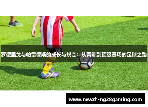 罗德里戈与帕雷德斯的成长与蜕变：从青训到顶级赛场的足球之路